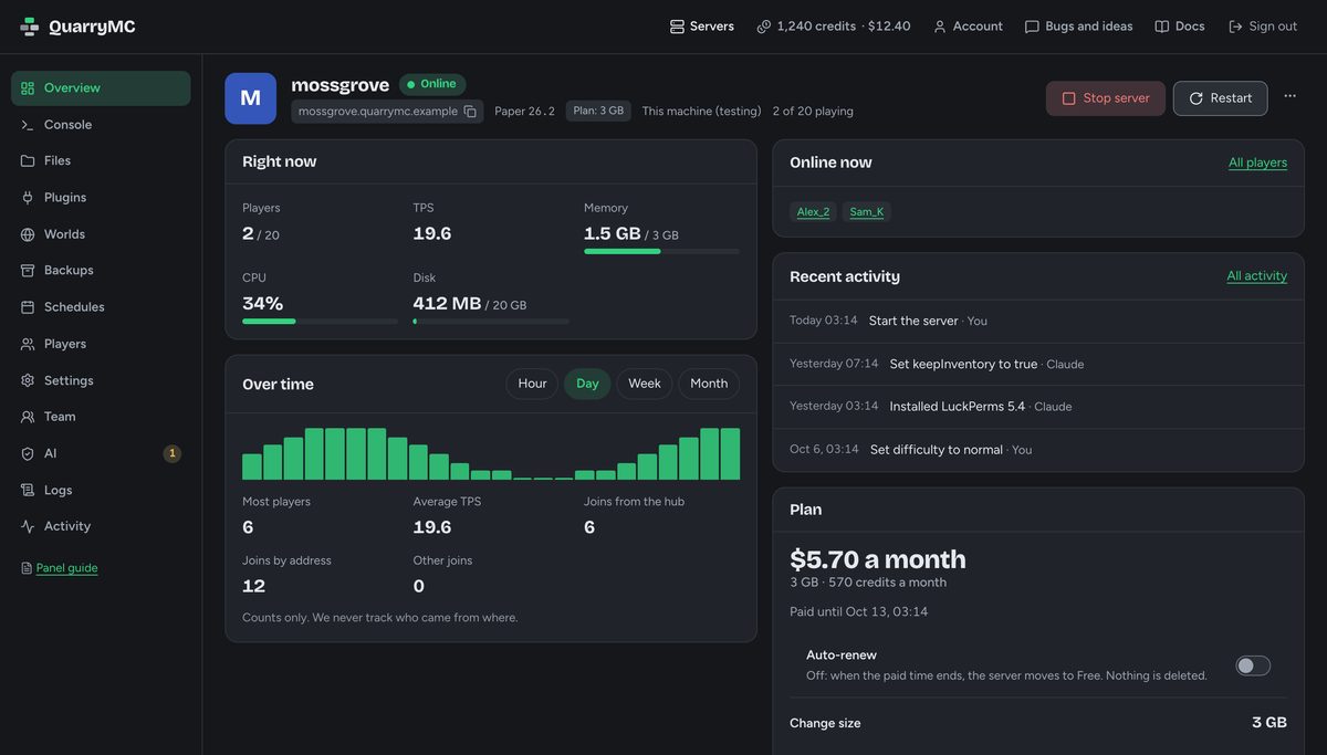 The server panel's overview: the server online with 2 players, memory, CPU and disk right now, players over the day, recent activity and the plan.